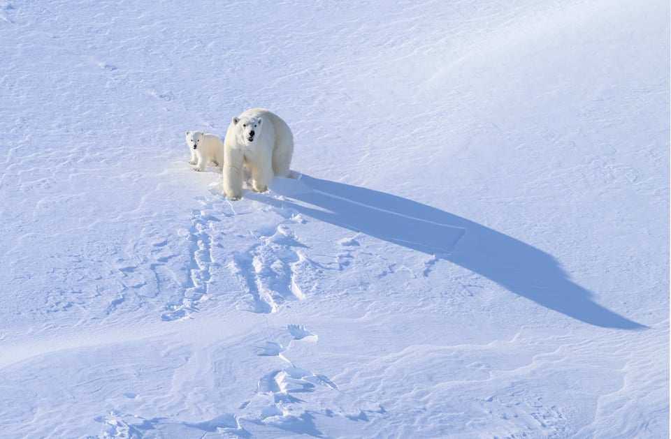 Baffin Island, Canada