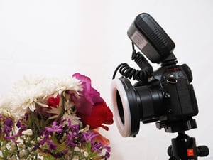 close focus wide angle flash photography with a ring flash