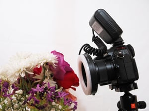 close focus wide angle flash photography with a ring flash