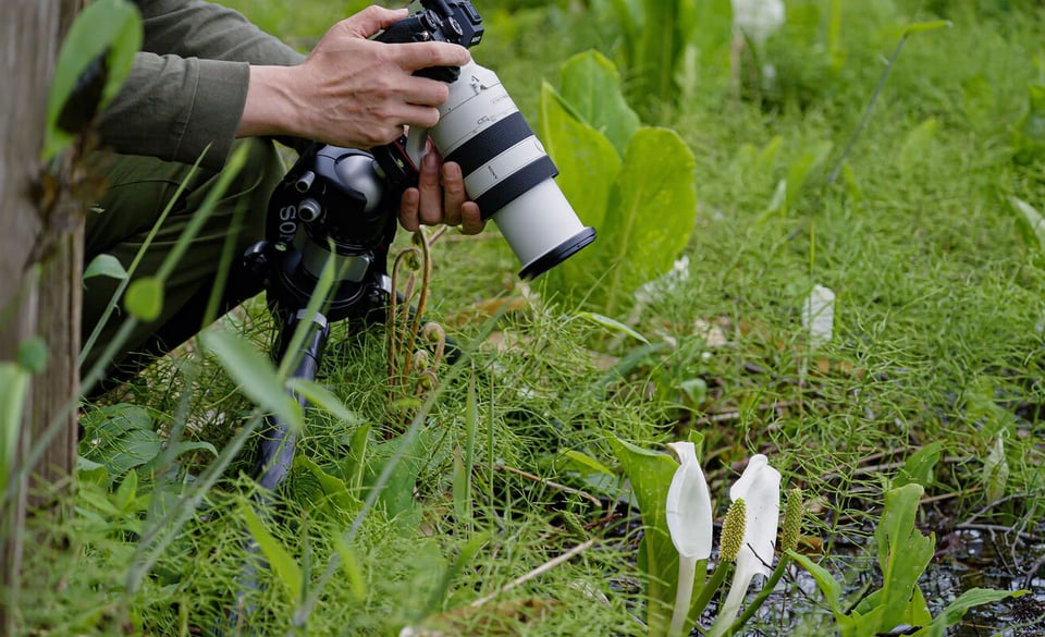 Sony 70-200mm f/4 Macro G OSS II Announced
