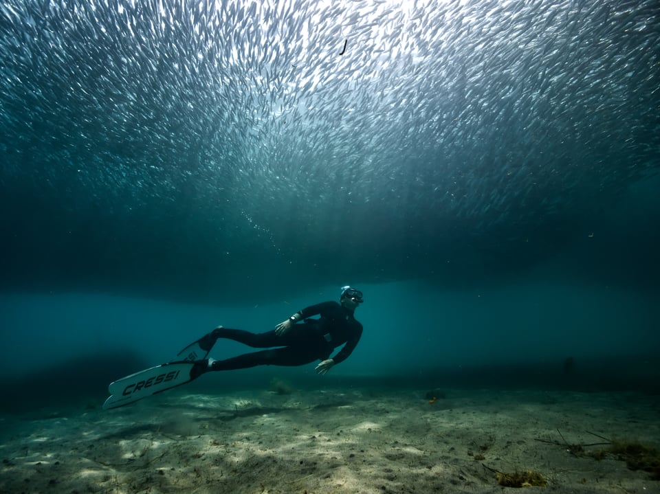 mask snorkel fins and wetsuit are important gear for underwater photography