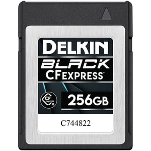 Delkin Devices 256GB BLACK CFexpress Type B