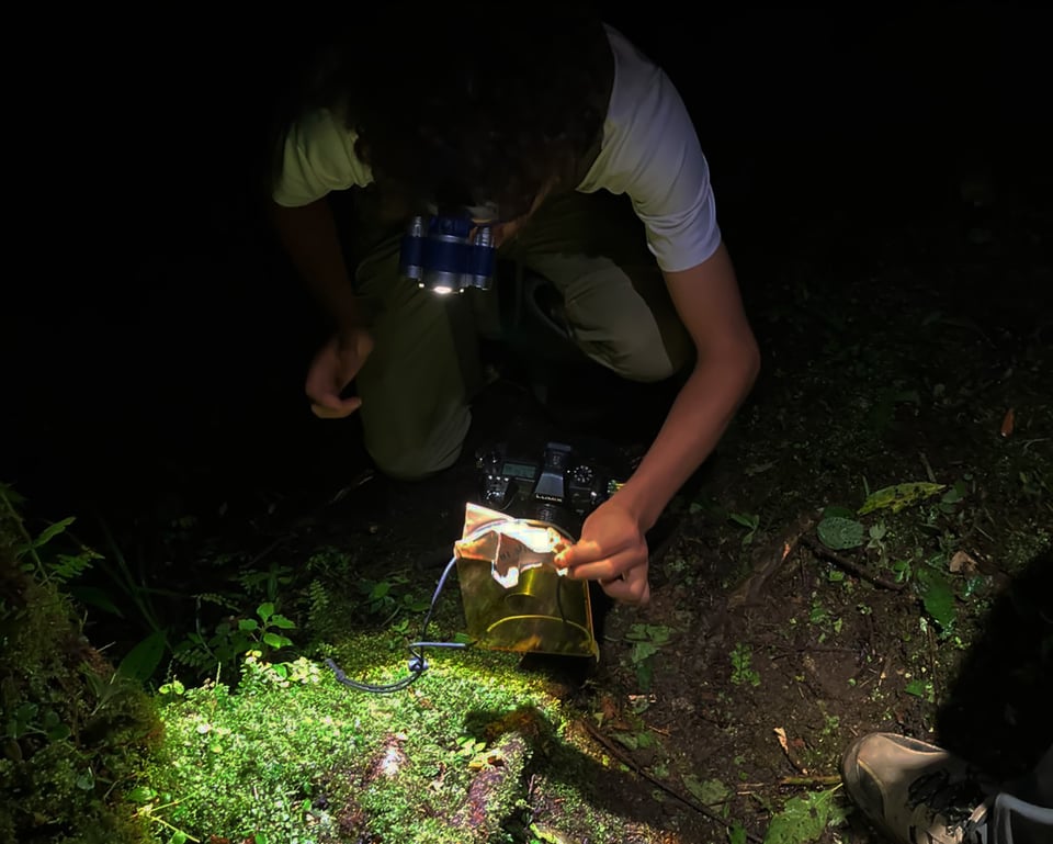 fluorescence photography behind the scenes