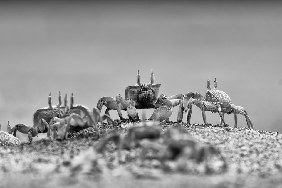 Fishermen_Puerto Lopez_Ecuador_14