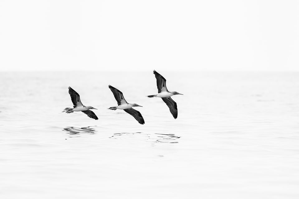 Fishermen_Puerto Lopez_Ecuador_15