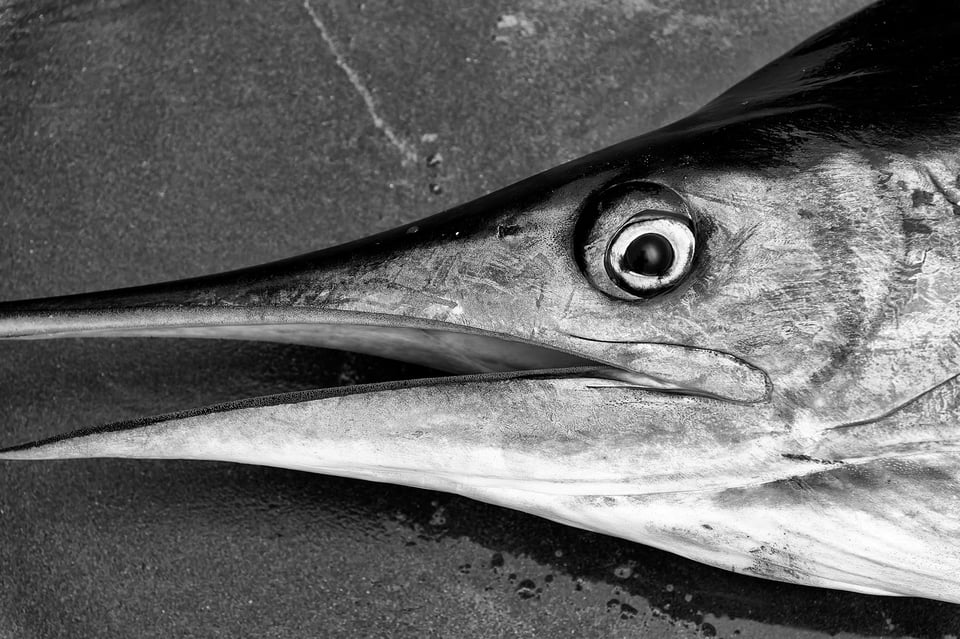 Fishermen_Puerto Lopez_Ecuador_19