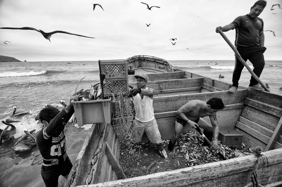 Fishermen_Puerto Lopez_Ecuador_34