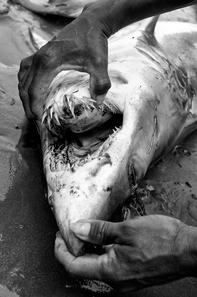 Fishermen_Puerto Lopez_Ecuador_42