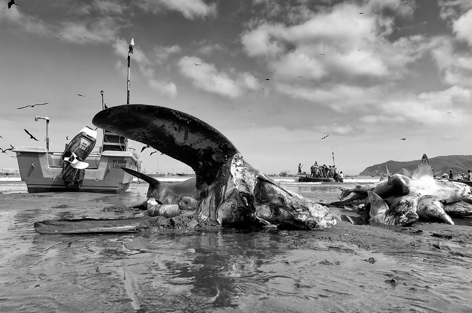 Fishermen_Puerto Lopez_Ecuador_43