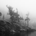 Fog and Island in a Lake