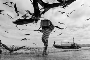 Puerto Lopez_Ecuador_Fisherman