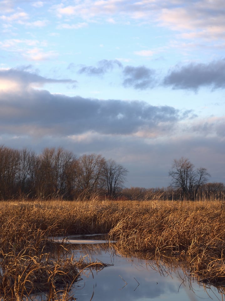 champlain_landscape_stack