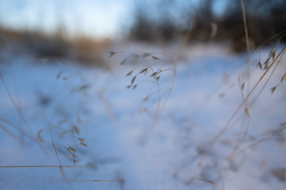 Bokeh Sony 20mm f1.8 G 1