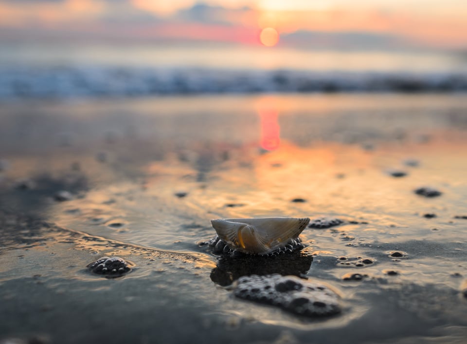 Shallow depth of field landscape