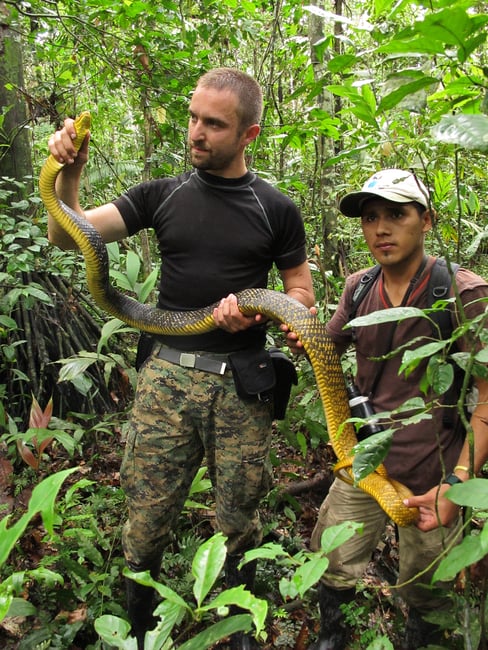 Snake_Tambopata_Peru_IMG_4287