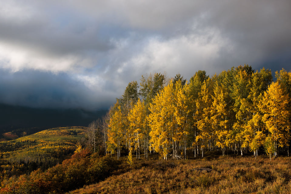 sunset-in-colorado-autumn-aspens