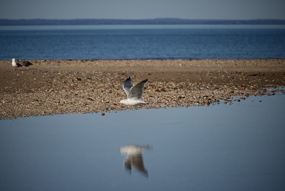 Beach-Photo-DSC_1189