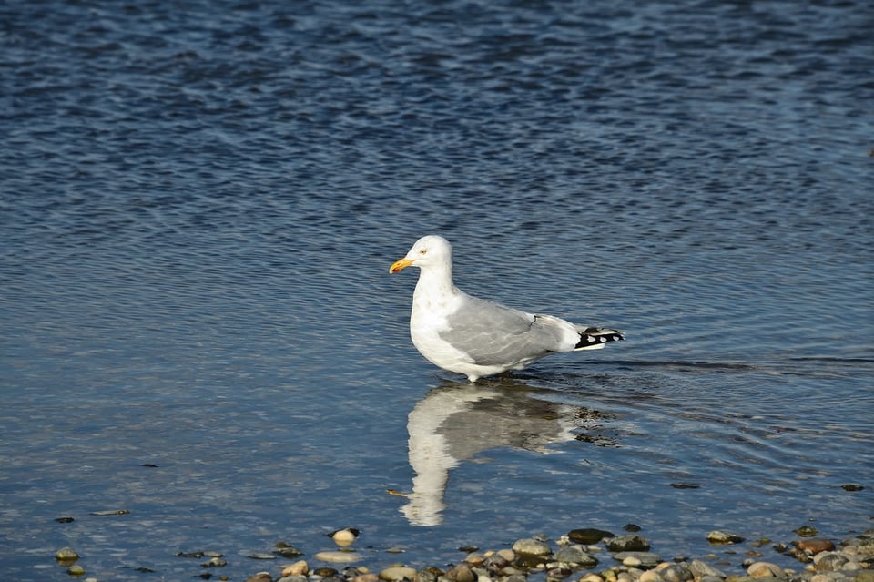 Beach-Photo-DSC_3566