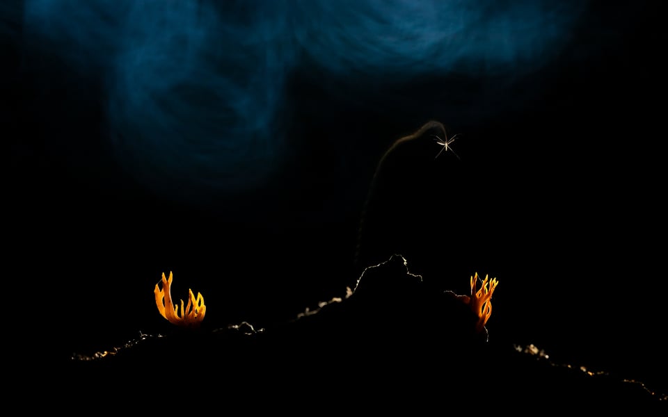 Tibor Litauszki_Volcano eruption_7