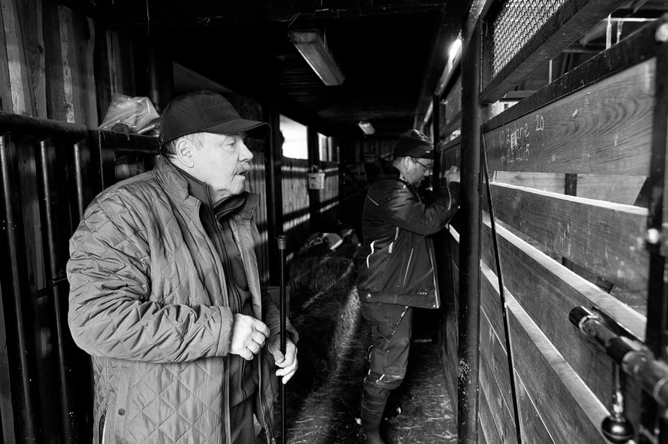 Fujifilm X-H2s_16mm and 23mm_ZOO Liberec__DSF3921-RAF