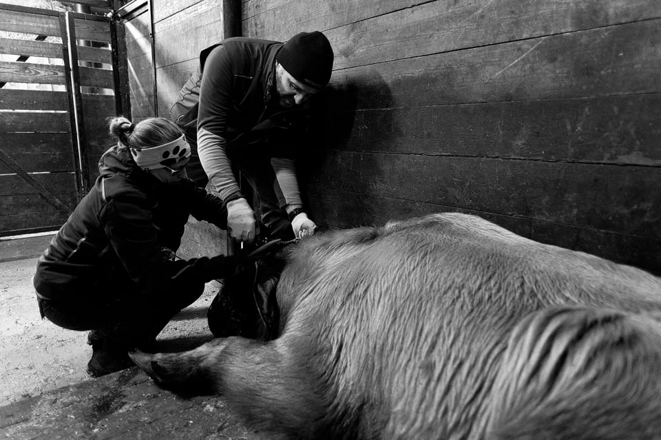 Fujifilm X-H2s_16mm and 23mm_ZOO Liberec__DSF4059-RAF