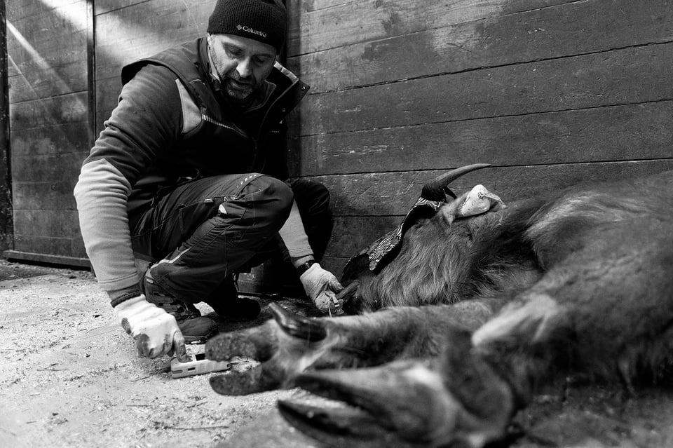 Fujifilm X-H2s_16mm and 23mm_ZOO Liberec__DSF4083-RAF