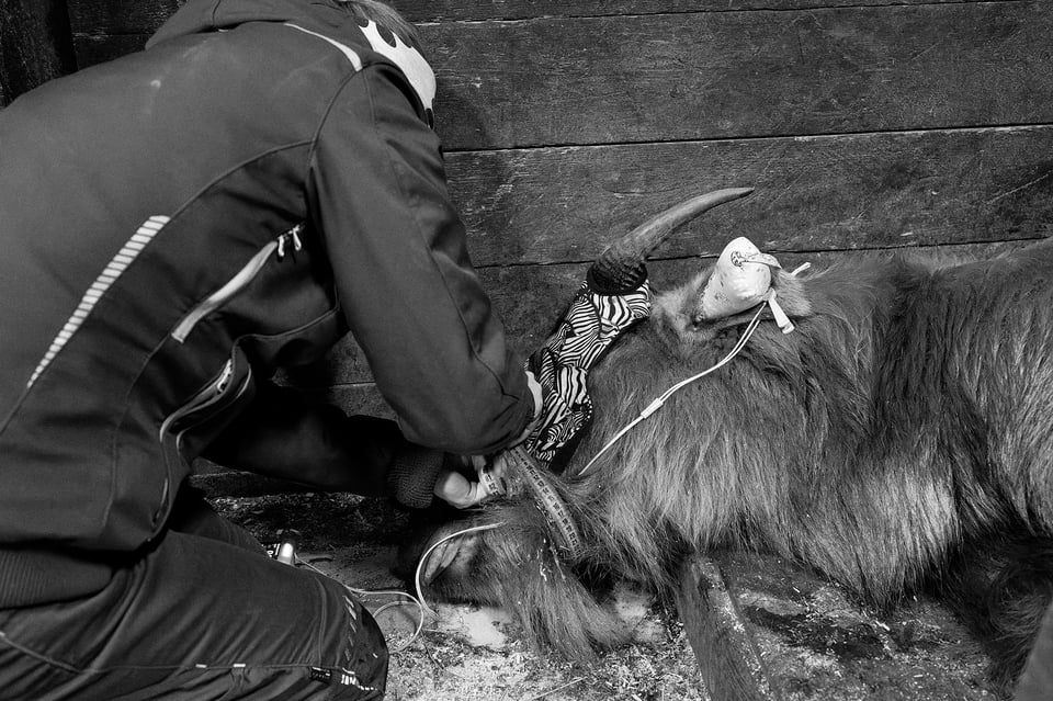 Fujifilm X-H2s_16mm and 23mm_ZOO Liberec__DSF4635-RAF