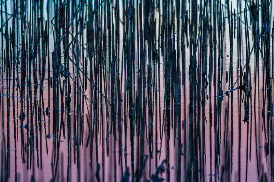 Intimate abstract landscape photo at 500mm equivalent