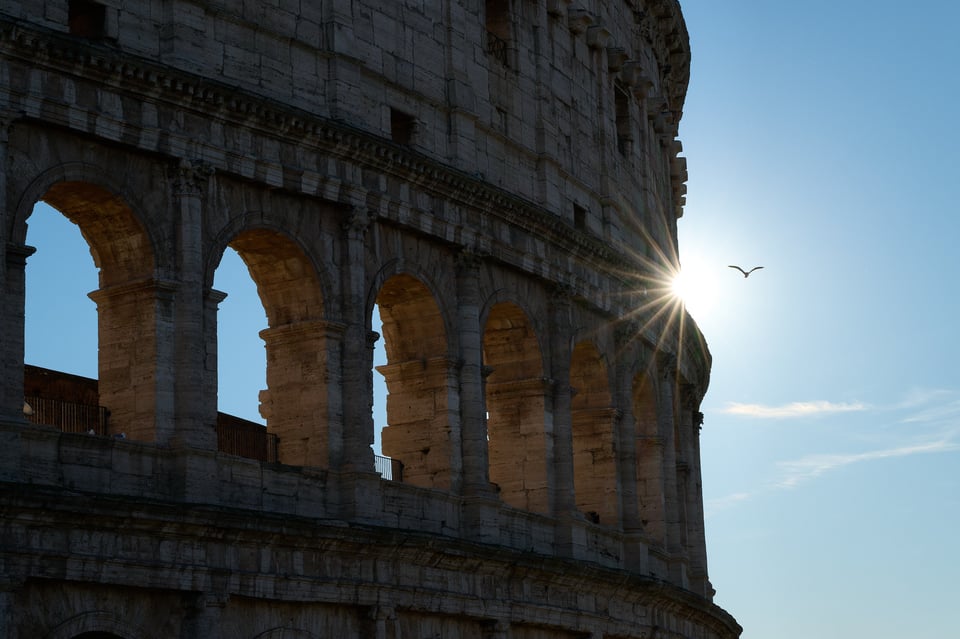 Urban wildlife_Rome 2024__DSC8529-NEF