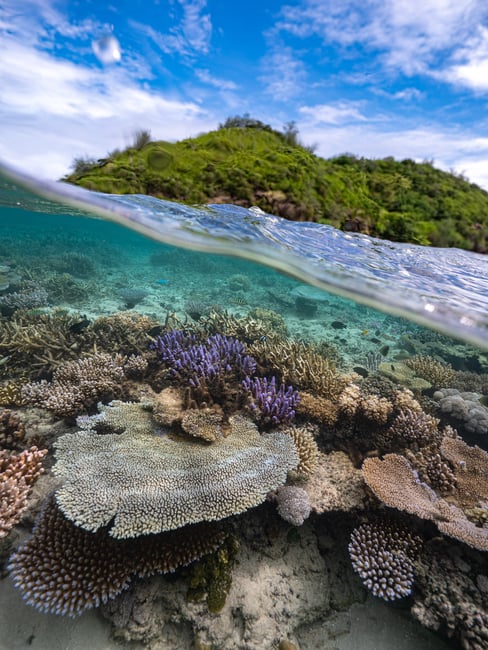 Coral reef and tropical island in fiji