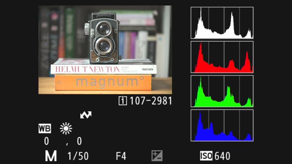 Nikon Picture Controls_Which One to Choose (2)