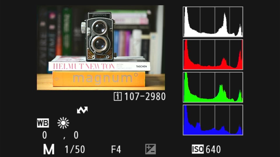 Nikon Picture Controls_Which One to Choose (3)