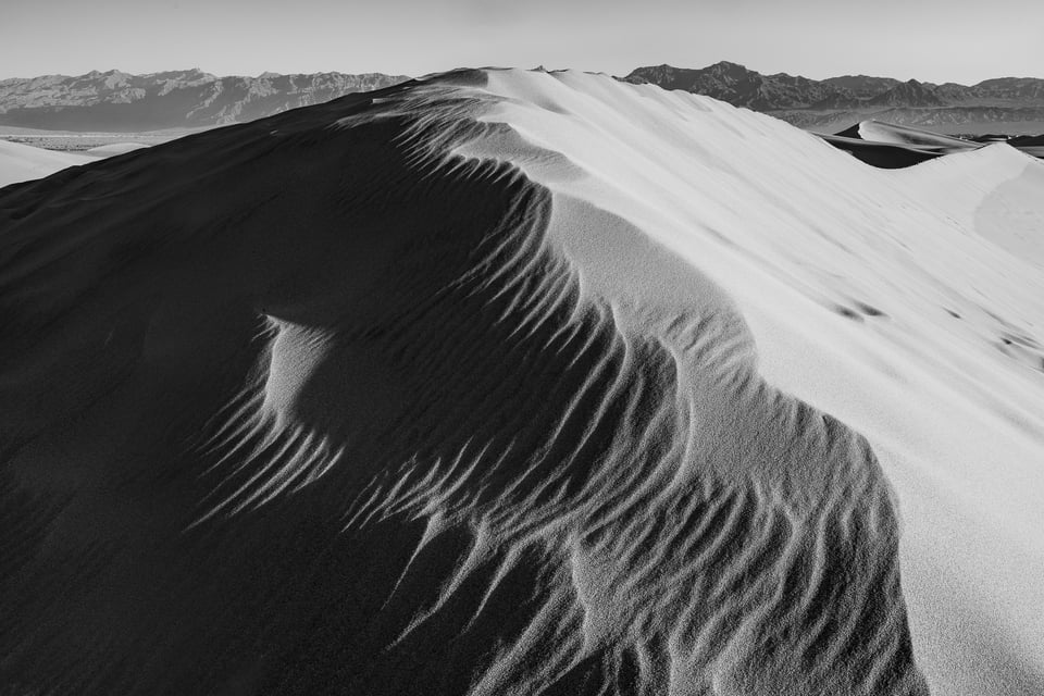 Emphasized foreground sand dune black and white