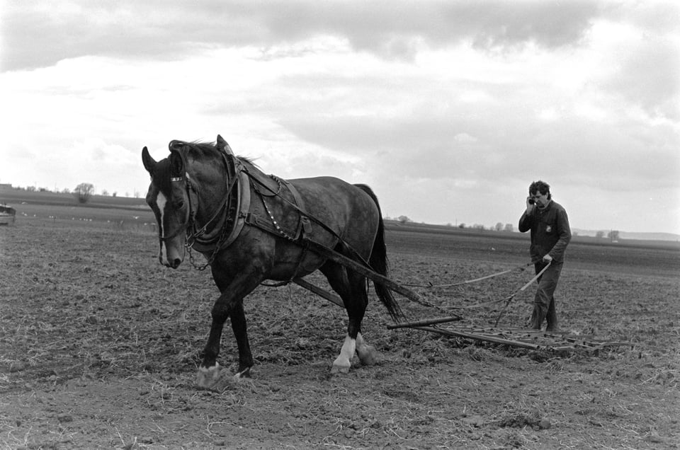 Man with plow and horse
