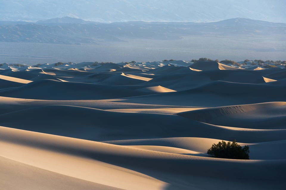 Telephoto sand dunes and plant in Death Valley