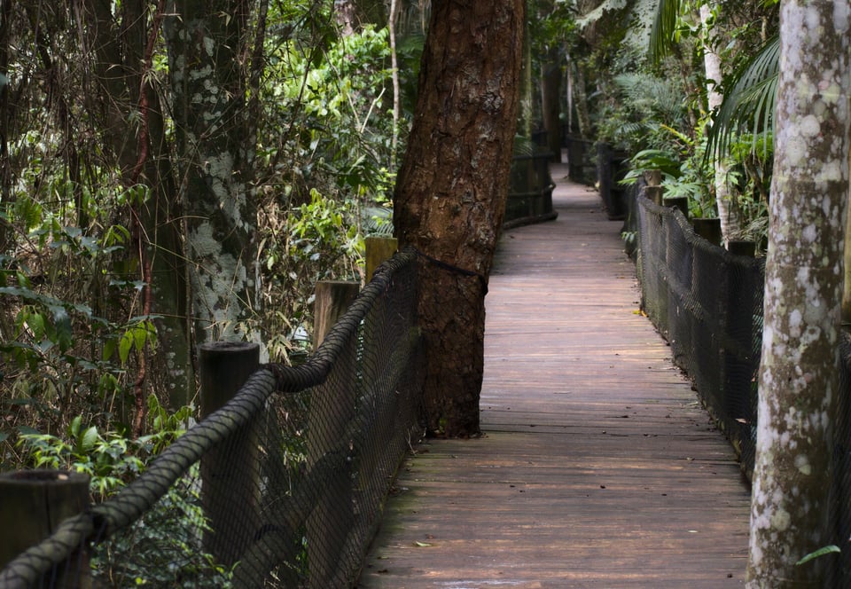 SaoPaulo_BotanicGarden