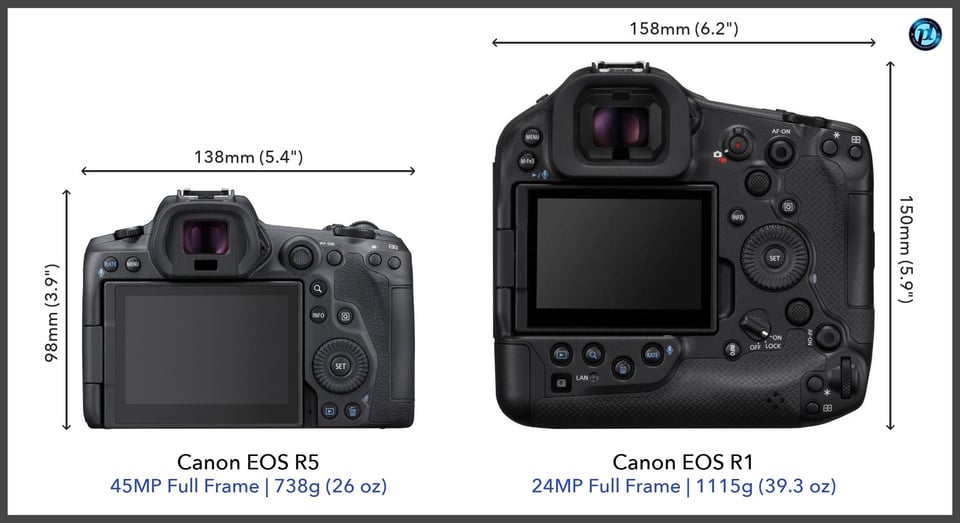 CanonEOSR5_vs_CanonEOSR1_comparison_back