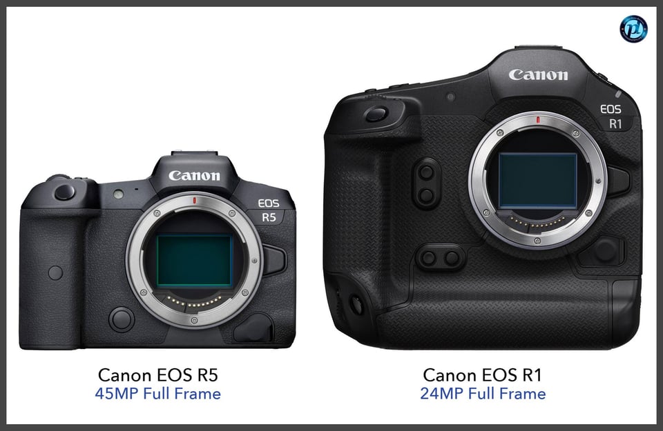 CanonEOSR5_vs_CanonEOSR1_comparison_front