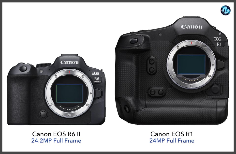 CanonEOSR6II_vs_CanonEOSR1_comparison_front