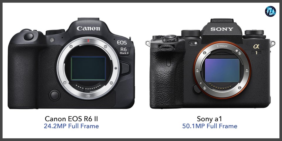 CanonEOSR6II_vs_Sonya1_comparison_front