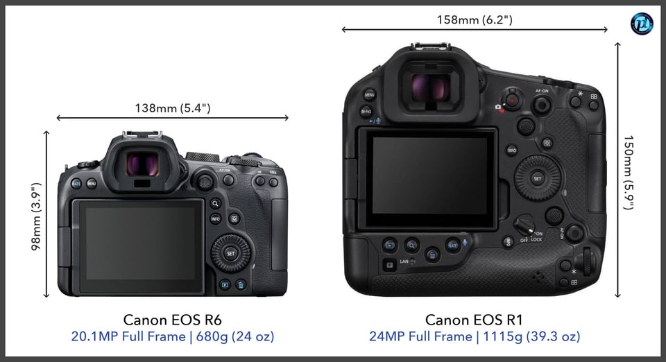 CanonEOSR6_vs_CanonEOSR1_comparison_back