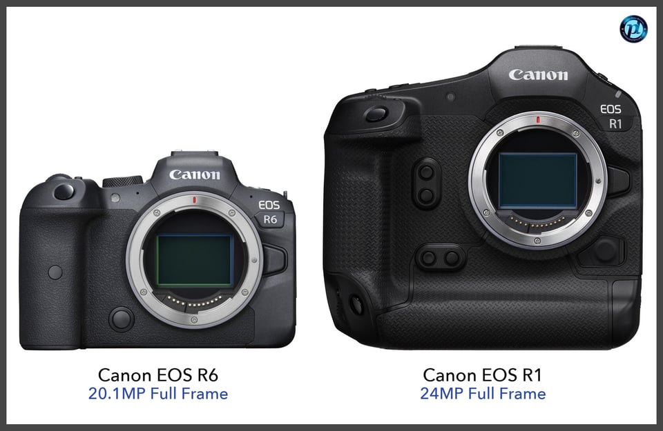 CanonEOSR6_vs_CanonEOSR1_comparison_front