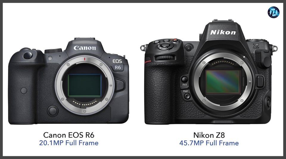 CanonEOSR6_vs_NikonZ8_comparison_front