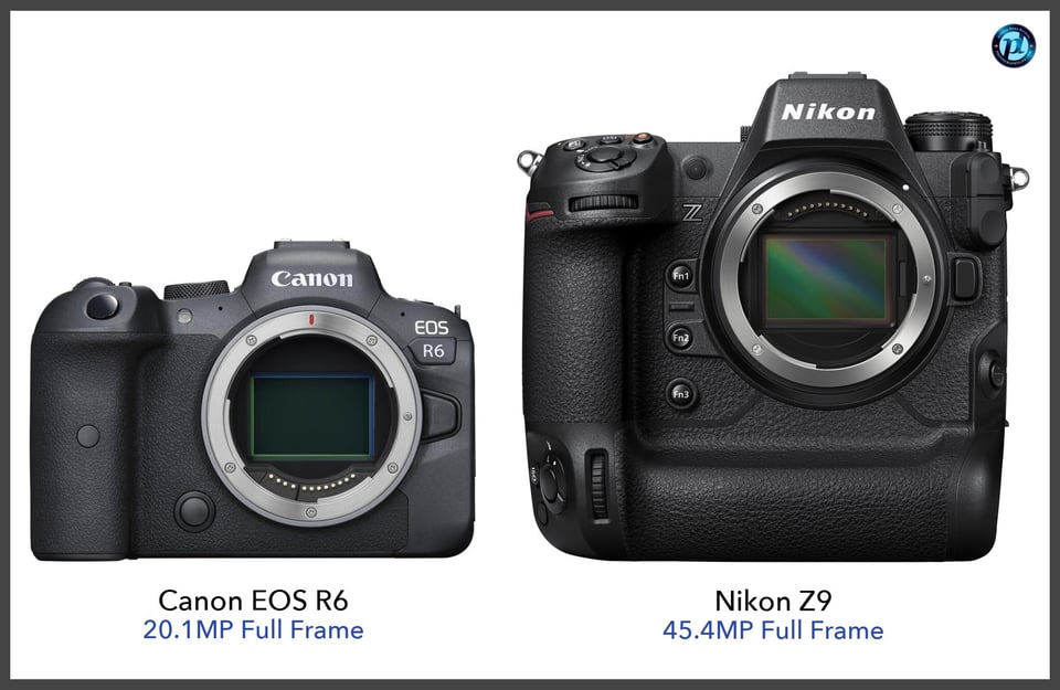 CanonEOSR6_vs_NikonZ9_comparison_front