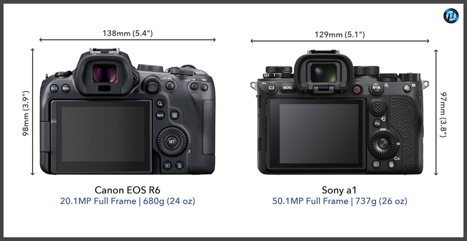 CanonEOSR6_vs_Sonya1_comparison_back