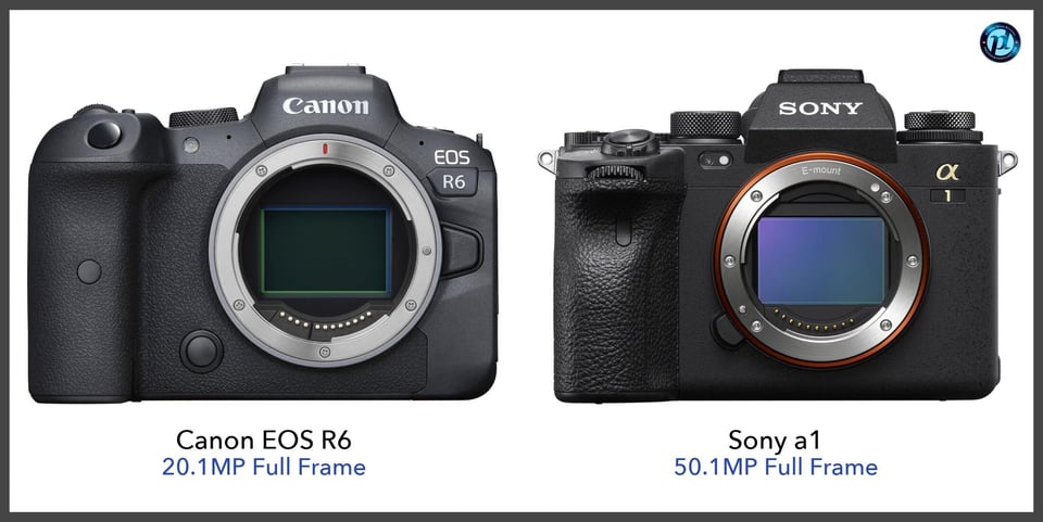 CanonEOSR6_vs_Sonya1_comparison_front