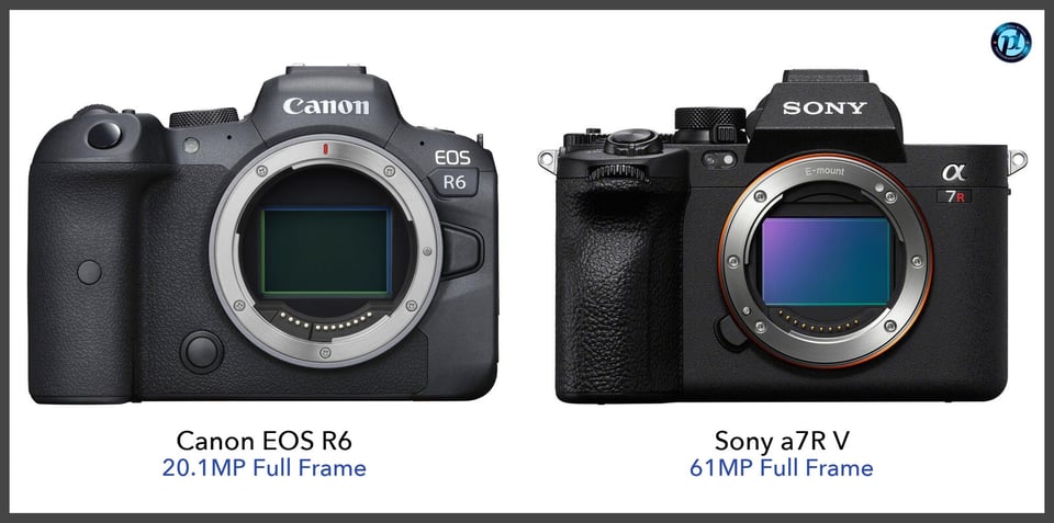 CanonEOSR6_vs_Sonya7RV_comparison_front