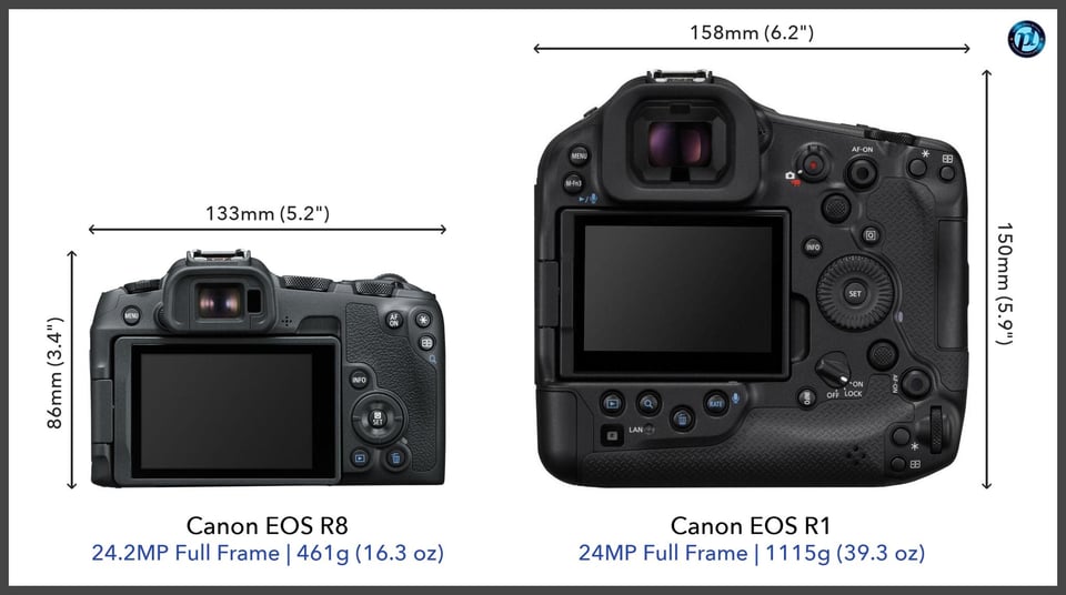 CanonEOSR8_vs_CanonEOSR1_comparison_back