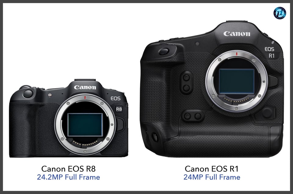 CanonEOSR8_vs_CanonEOSR1_comparison_front