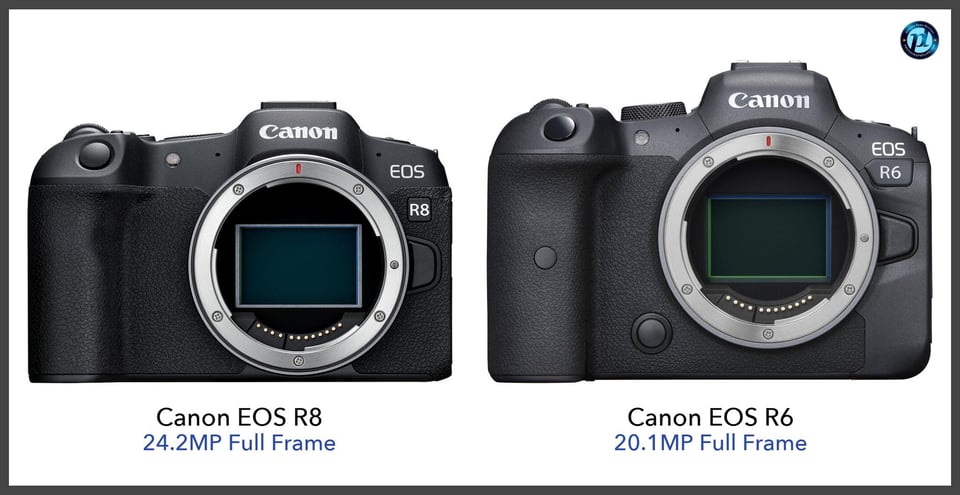 CanonEOSR8_vs_CanonEOSR6_comparison_front